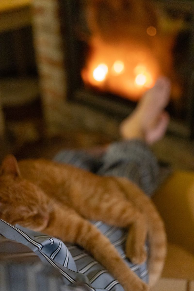A red cat sleeps in the arms of a woman sitting by the fireplace