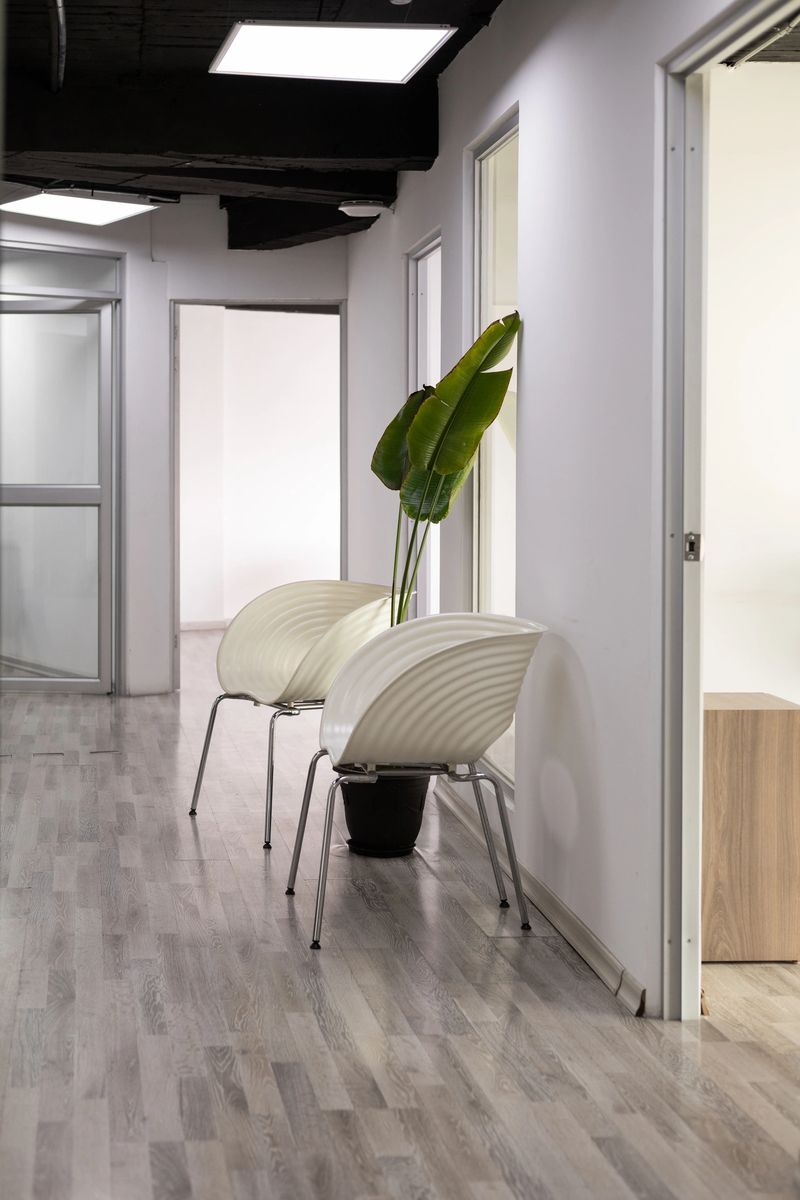 Bright and clean hallway with elegant white chairs, perfect for a medical or dental office waiting area, offering comfort and a professional atmosphere.