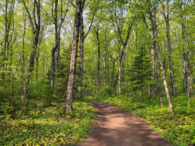 North Country National Scenic Trail in Munising, Michigan