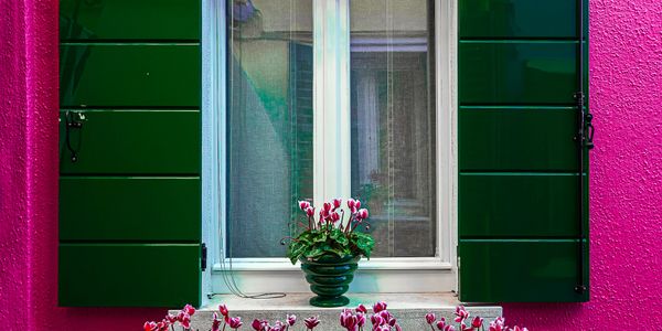 Window with green shutters and pink flowers on a vibrant pink wall.