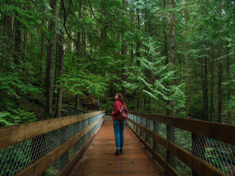 A woman walks on a wooden bridge surrounded by dense green forest.