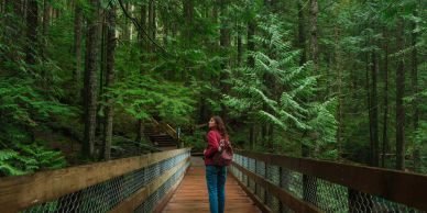 Femme marchant sur un pont en forêt.