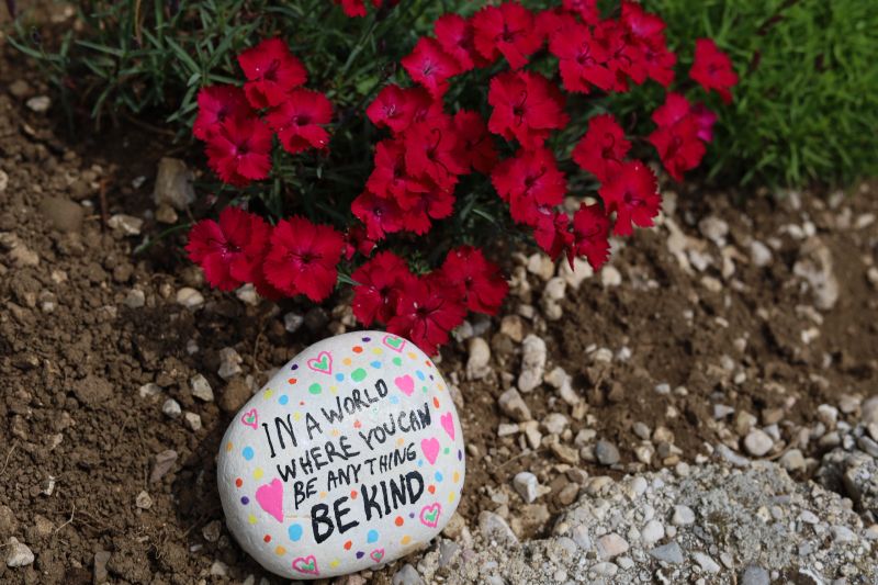 Be kind kindness rock on soil with beautiful red flowers