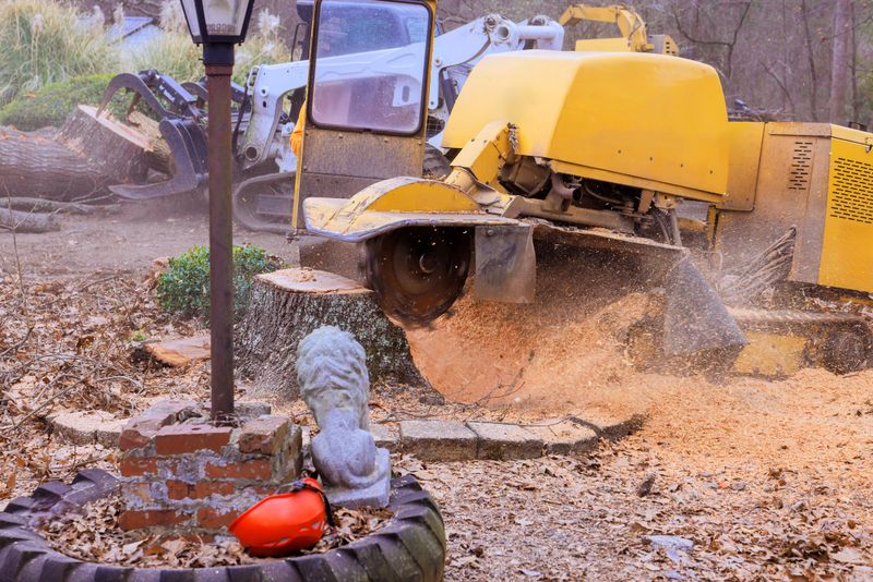 Large stump grinder machine removes tree stump in backyard while debris scatters around works area.