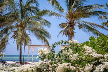 destination wedding