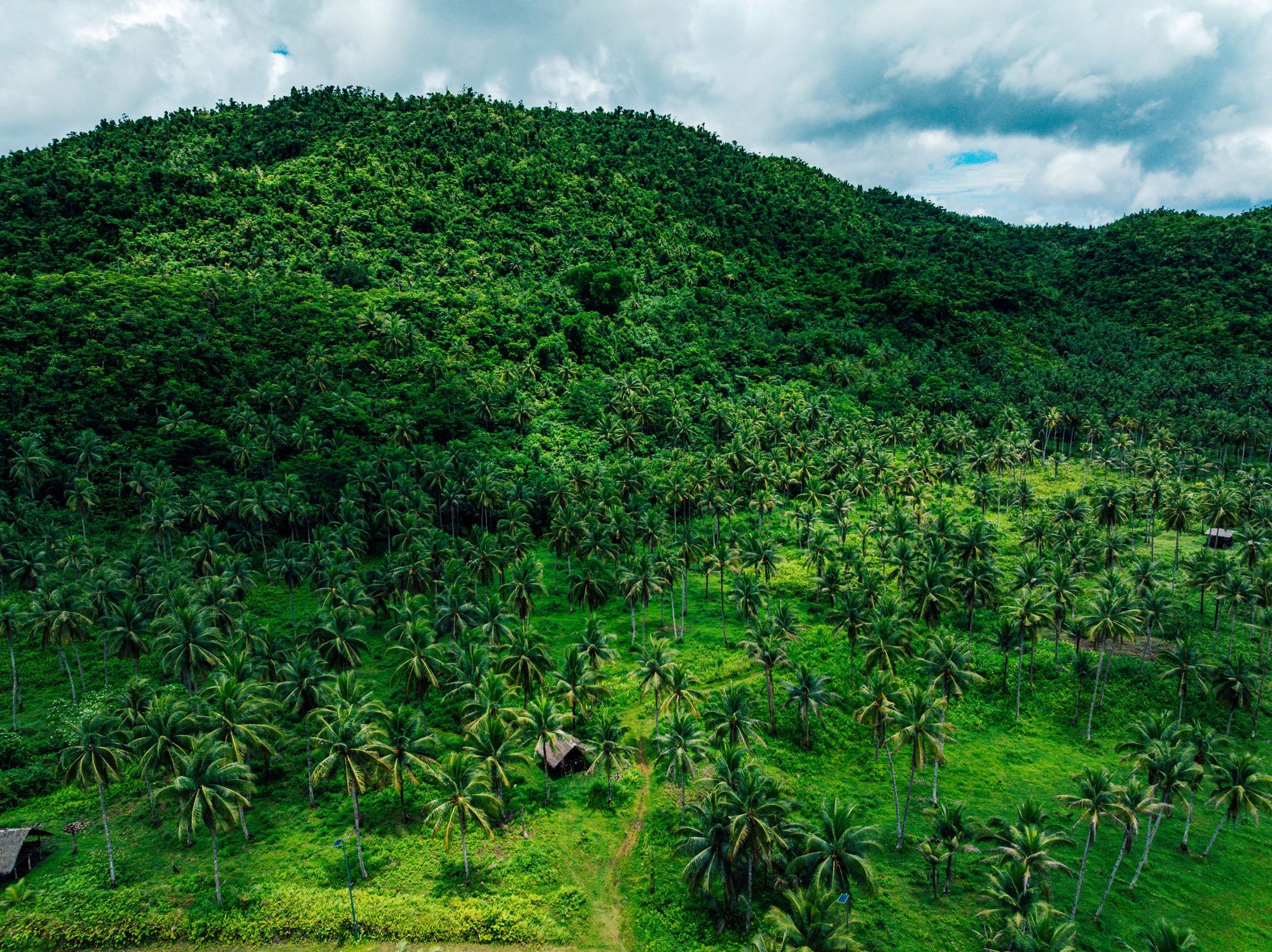 Coco Farm