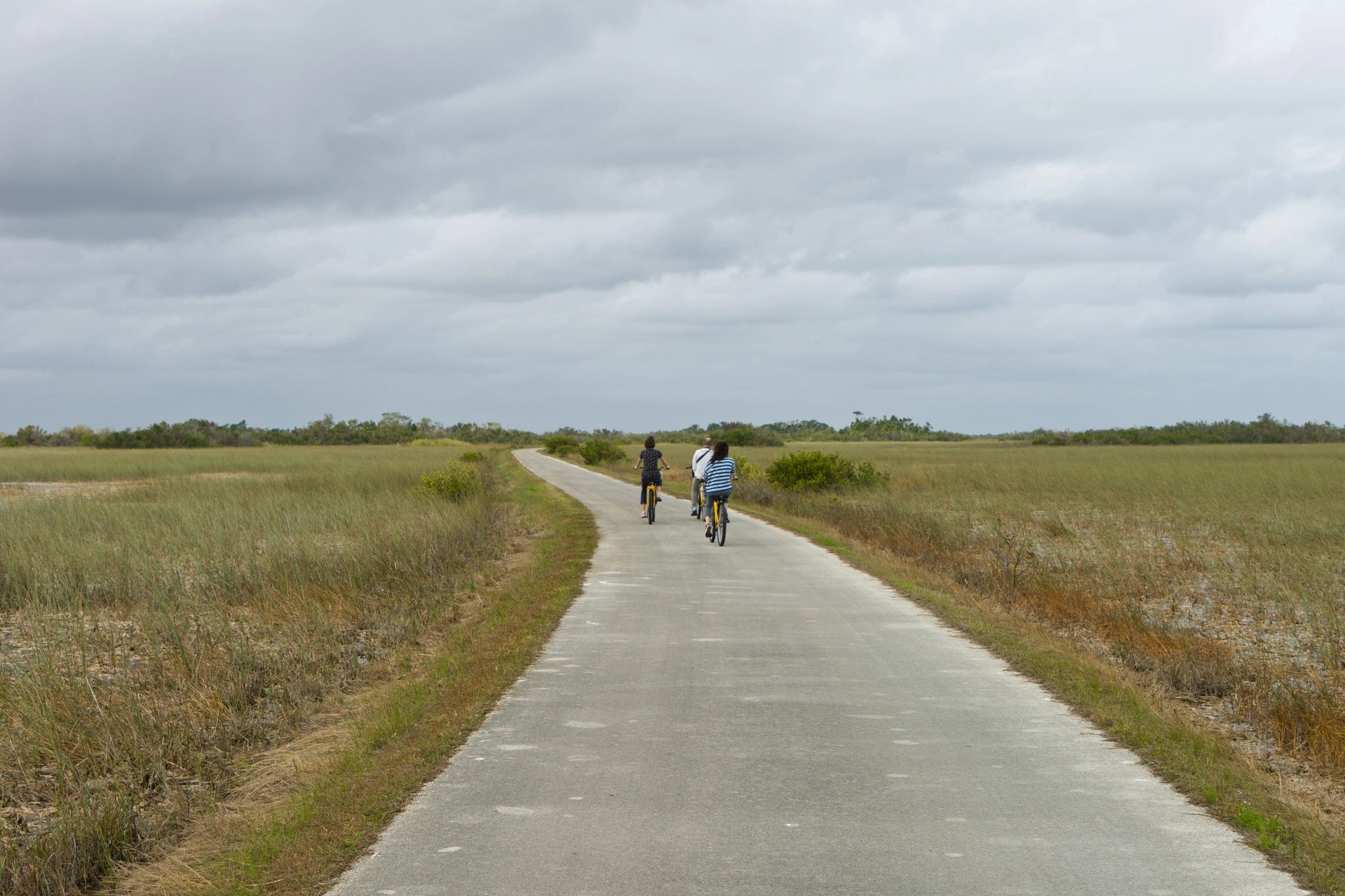 Alpine Bicycles - eBike shop in Niceville, FL