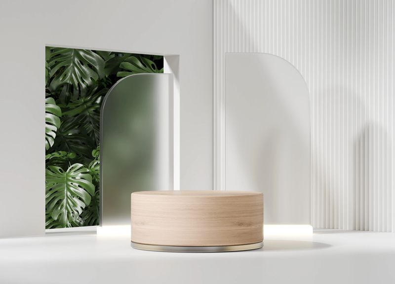 3D rendering white and wood podium with tropical plant monstera product presentation background