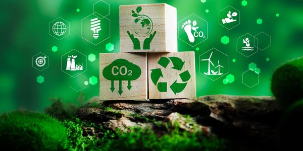 Wooden blocks with eco-friendly symbols on mossy ground, emphasizing sustainability and carbon reduction.