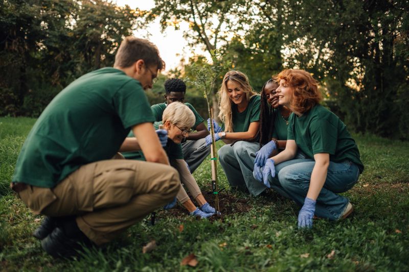 Group of volunteers planting a tree sapling in a park, working together for environmental conservation
