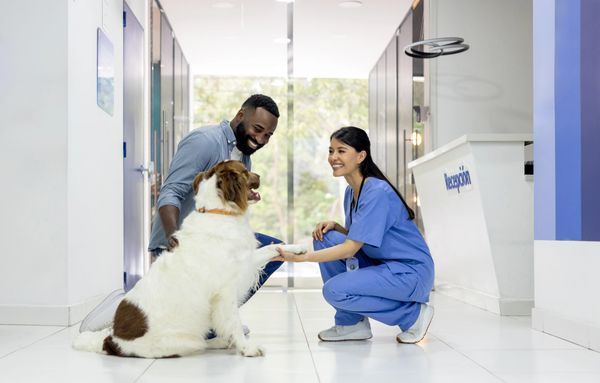 Veterinarian and owner smiling while the dog shakes hands at a clinic reception.