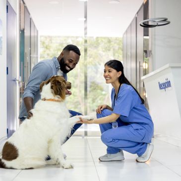 Vet and man with dog at reception area.
