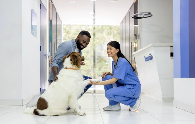 Happy Latin American veterinarian greeting a dog giving his paw and its owner at the animal hospital