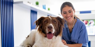 Happy vet with a dog on the examination table.