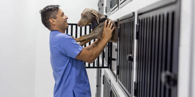 Veterinarian joyfully holding a dog outside a kennel.
