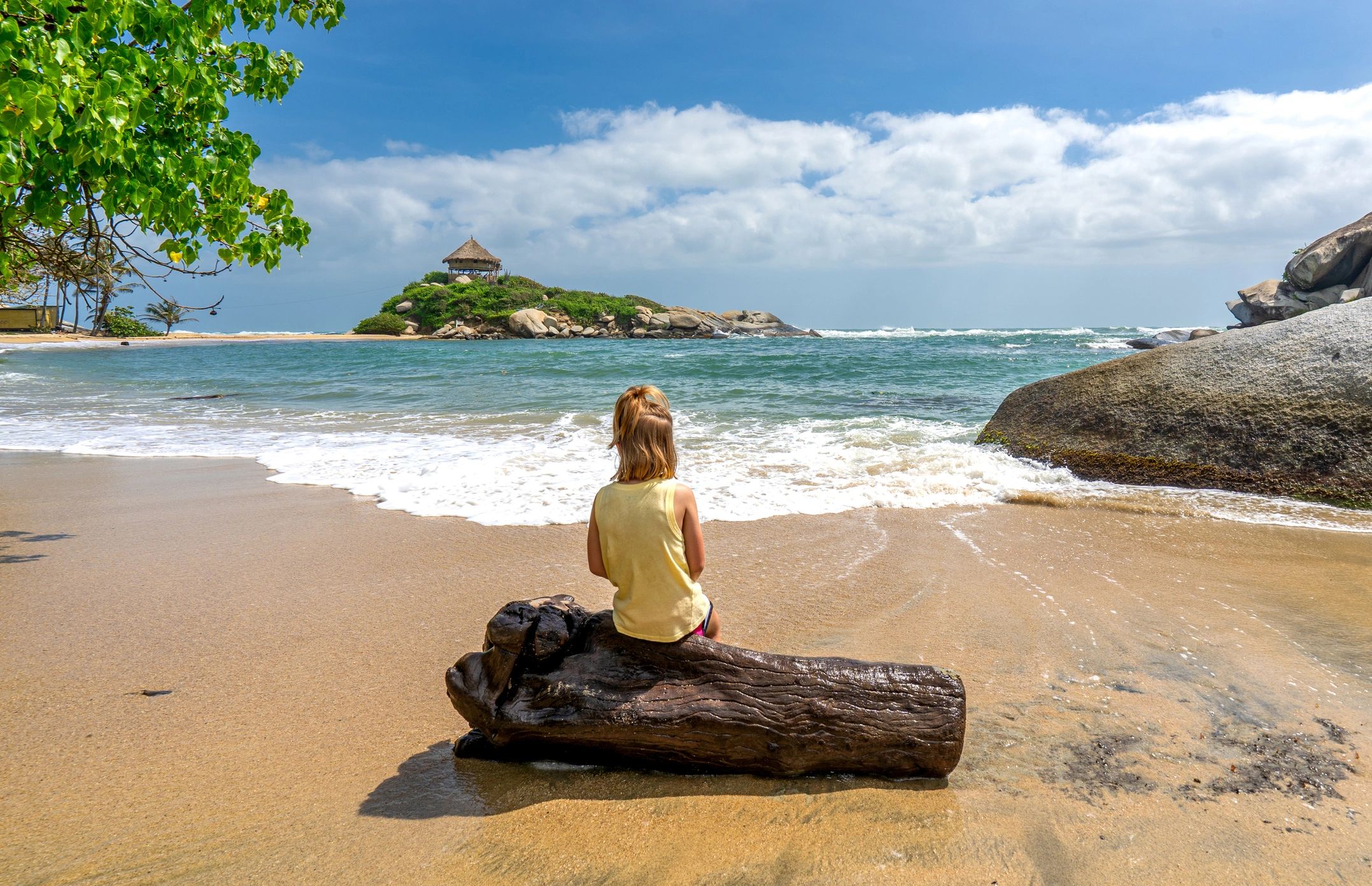 Colombia coffee tours and packages in  Pereira coffee refgion