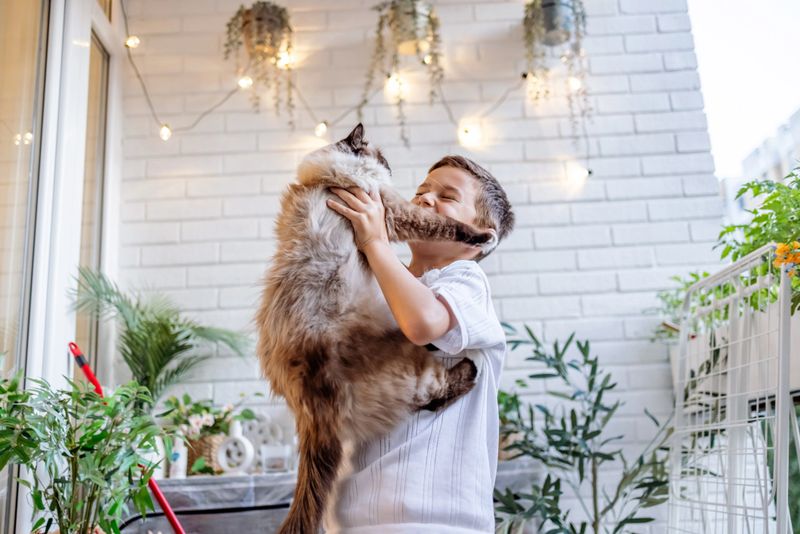 Young boy holding a fluffy cat with affection on a cozy balcony adorned with plants and decorative lights, capturing a warm and friendly moment.