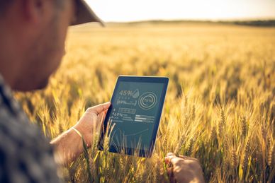 Worker on the field with tablet