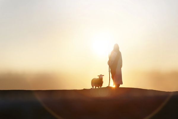 Silhouette of a shepherd with a sheep at sunset holding a staff.