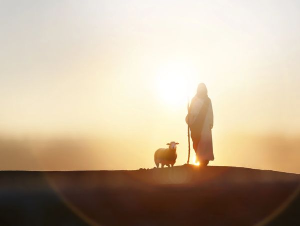 Silhouette of a shepherd with a sheep at sunset holding a staff.