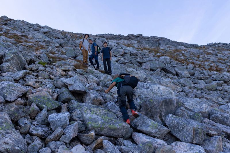 Children and adults, family with dog, hiking Grytetippen trail in Senja, Lofoten on a sunny hot summer day