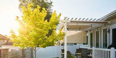Sunlit backyard with a young tree and cozy covered patio seating area.