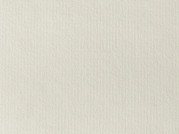 Close-up of textured white fabric or paper.