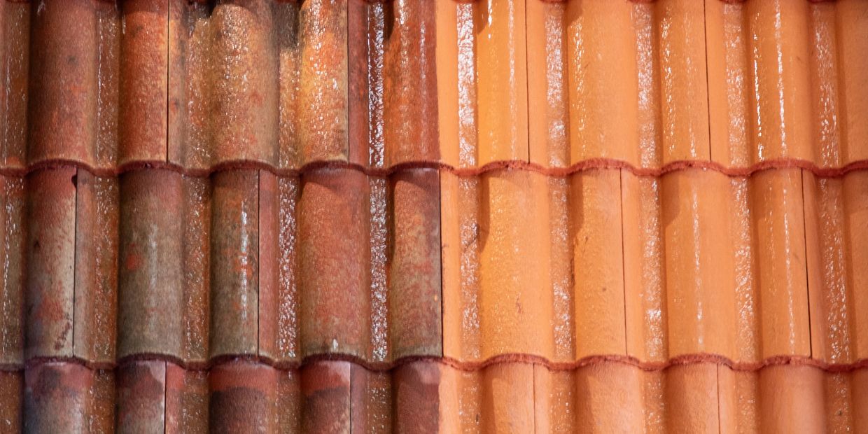 professional roof cleaning