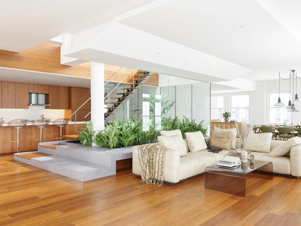 Bright open-concept living space with modern kitchen, cozy seating area, and indoor plants.