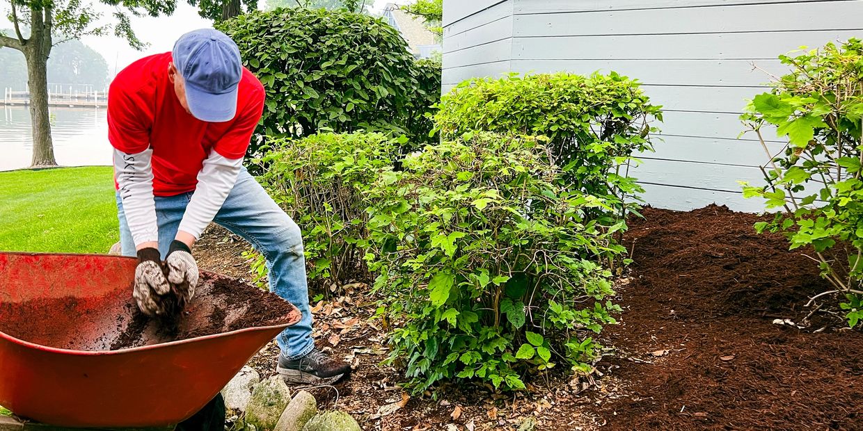 Landscaper spreading fresh mulch in a Huntington Beach garden bed