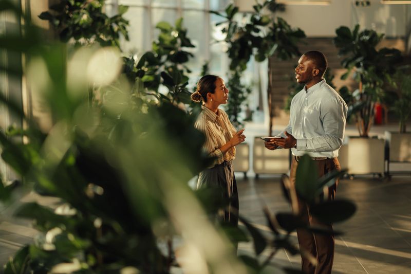 Two business colleagues engaging in a project discussion within a modern office, surrounded by vibrant plants and natural light