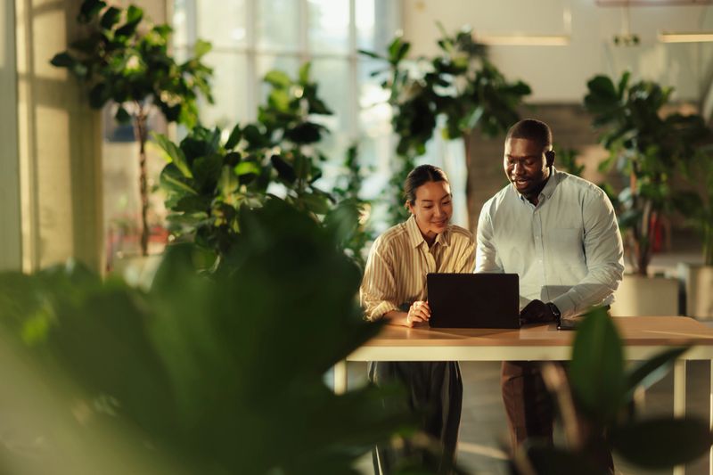 Two business colleagues are working together on a laptop, surrounded by plants in a modern office, enjoying the natural light