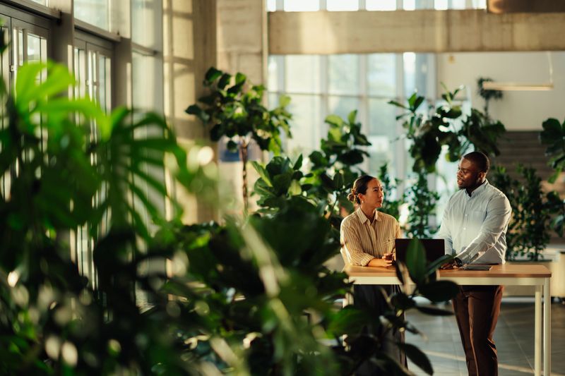 Two businesspeople collaborating on a project in a modern office filled with plants, working together at a standing desk
