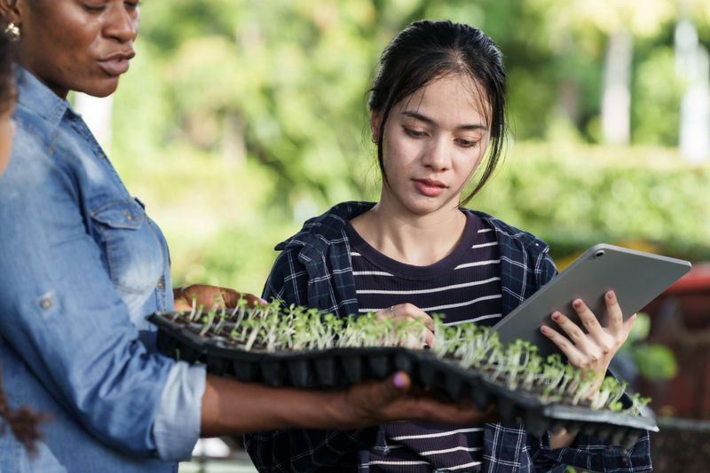 Asian teenage student studying organic vegetable sprouts in tray while using digital tablet in garden class, participating in practical agriculture learning activity under guidance of teacher