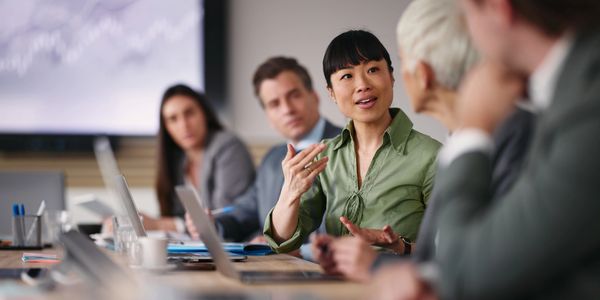 Business team engaged in a meeting around a conference table.