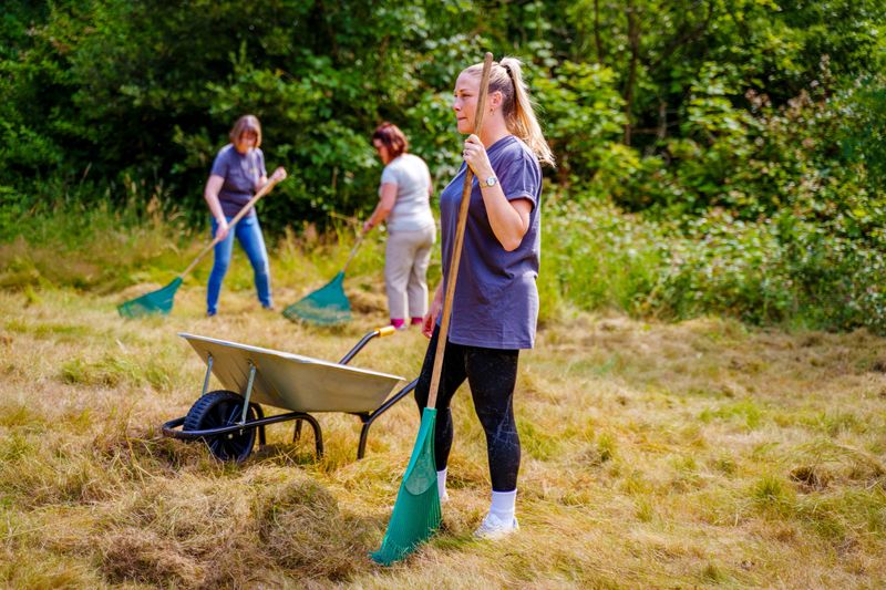 This image captures a group of people actively engaged in an outdoor activity,  a community volunteer project or environmental work. They are raking  dry grass in a sunlit, grassy area surrounded by lush green trees. The individuals are dressed in casual, comfortable clothing suitable for outdoor work, and they appear to be enjoying the task. The bright, natural setting and the teamwork evident in their efforts create a positive and productive atmosphere. This scene suggests a communal effort towards maintaining or improving a natural space, fostering a sense of environmental stewardship and collaboration.