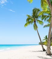 Sunny beach with palm trees and clear blue sky.