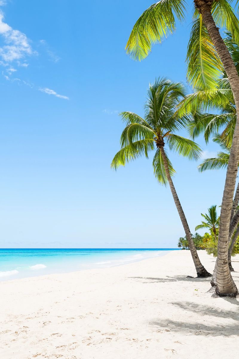 Amazing white sand beach with coconut palm trees and Caribbean sea shore on Saona island in Dominican Republic. Summer holiday beach concept. Vertical photo.