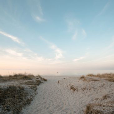 A serene sandy path leads to a calm beach with soft pastel skies.