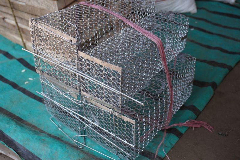 Multiple wire mesh live mousetraps are for sale in a market settings