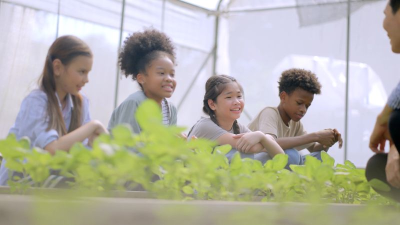 Group of teenagers are learning about farming, growing organic vegetables, soil maintenance, fertilizing, growing seedlings and caring for salad vegetables in a greenhouse. Learning outside the classroom. Agricultural education. Gardening, farming.