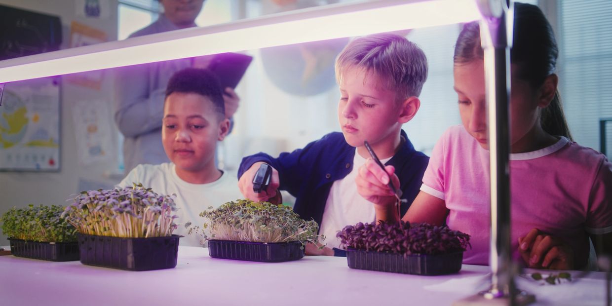 Children studying plants under grow lights in a classroom.