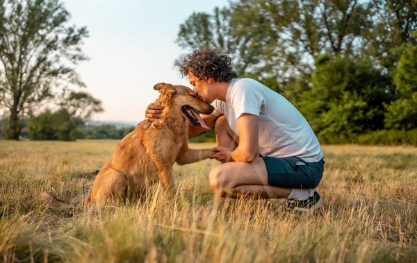 A scenic view of mountains under a clear blue sky with a few clouds.