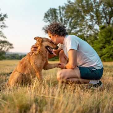 A couple lovingly interacts with their cat and dog outdoors.