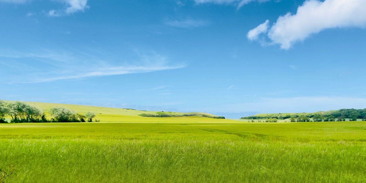 Coastal landscape with green hills and blue sky