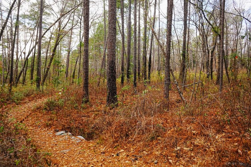 Bartram Trail.  Tuskegee National Forest and Taska Recreation Area Alabama