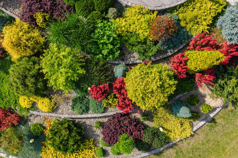 A beautifully arranged garden features a variety of colorful plants and shrubs, creating an eye-catching landscape. The vibrant foliage demonstrates careful landscaping.