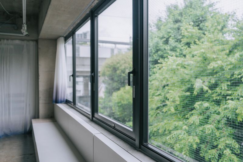 Interior view of a minimalist modern room featuring a row of large black-framed windows with mesh screens. Outside, vibrant green trees fill the background, creating a tranquil and natural atmosphere. Ideal for concepts related to architecture, nature views, serenity, and eco-conscious design.