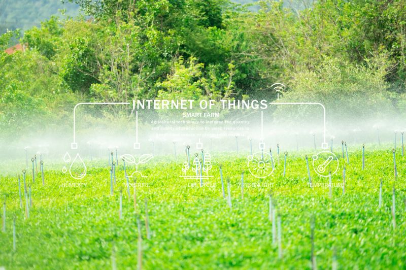 Smart agriculture irrigation system with automatic sprinkler technology and moisture sensors for sustainable precision farming and efficient water management practices. IoT and sensor technology.