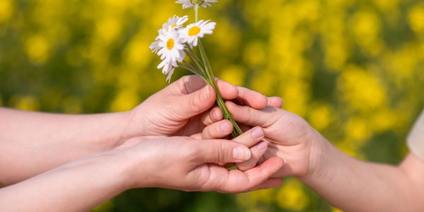 One person giving daisies to another outdoors with a blurred yellow floral background.
